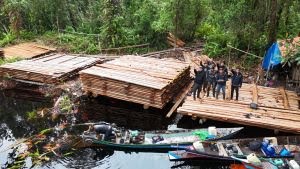 300 Meter Kubik Kayu Ilegal Disita di Inhu, KLH: Setara 120 Pohon
