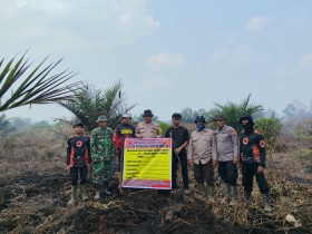 Diduga Kuasai Kawasan Hutan untuk Kebun Sawit, Warga Bengkalis Jadi Tersangka